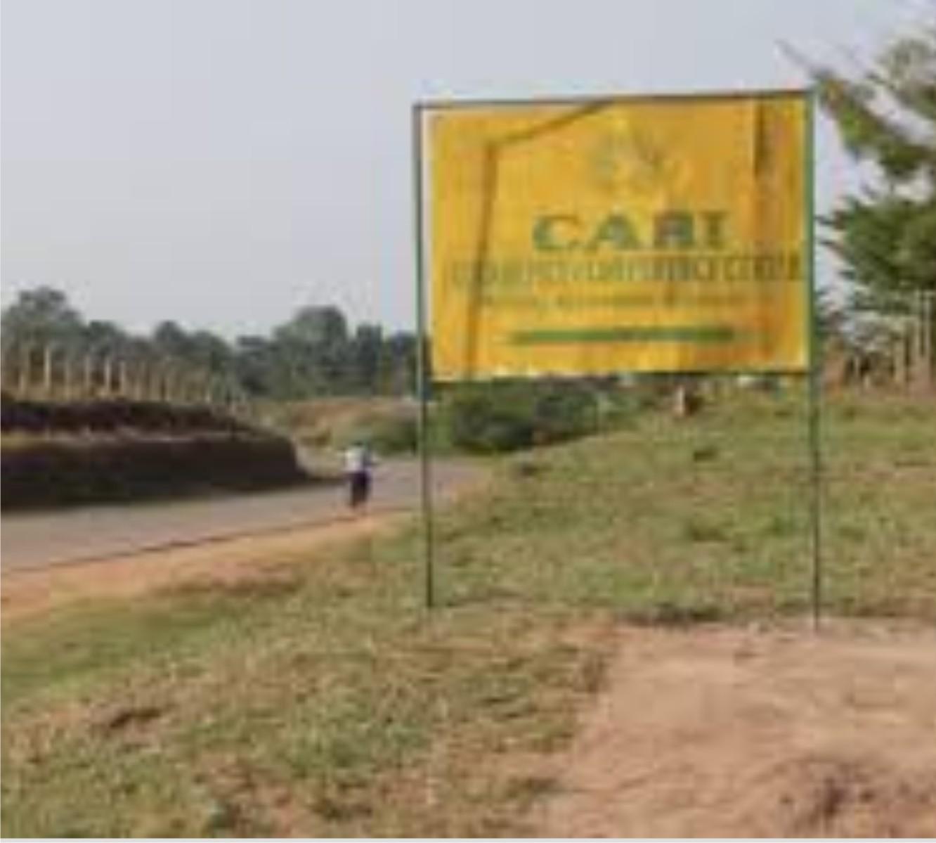 CARI workers union seeks lawmakers’ intervention CARI workers union seeks lawmakers’ intervention