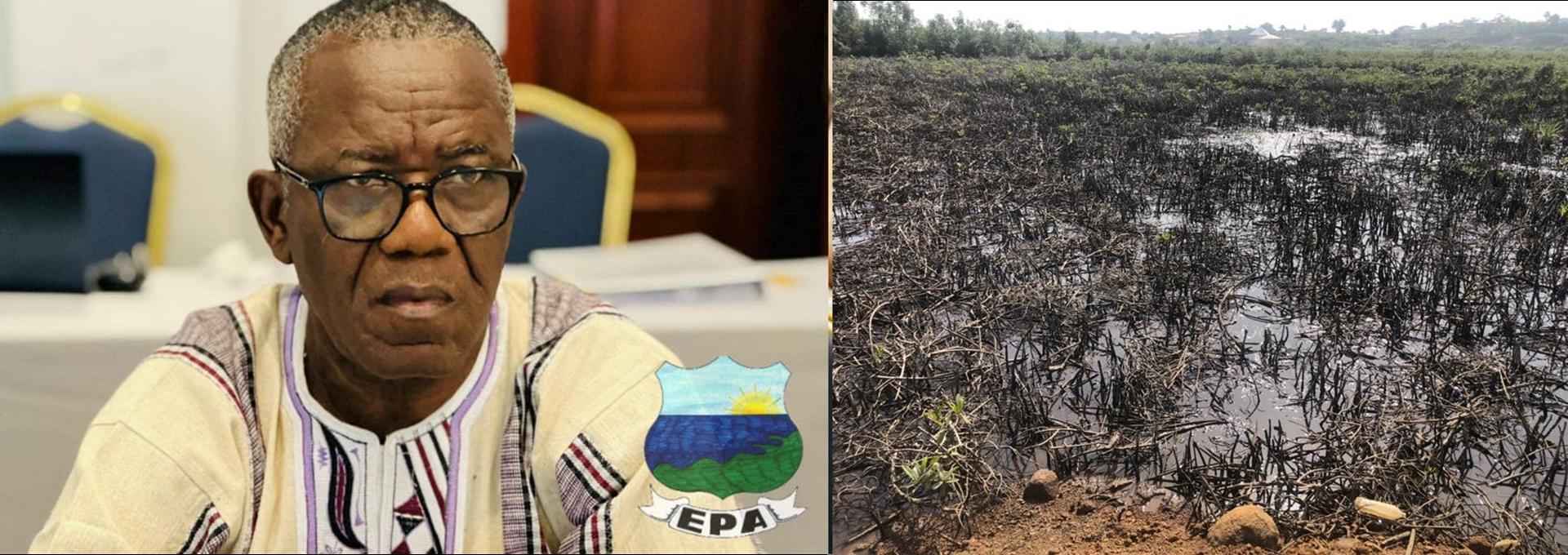 Liberia: EPA Fines Sino Liberia US$35,000 For Backfilling Marshall Wetland Liberia: EPA Fines Sino Liberia US$35,000 For Backfilling Marshall Wetland