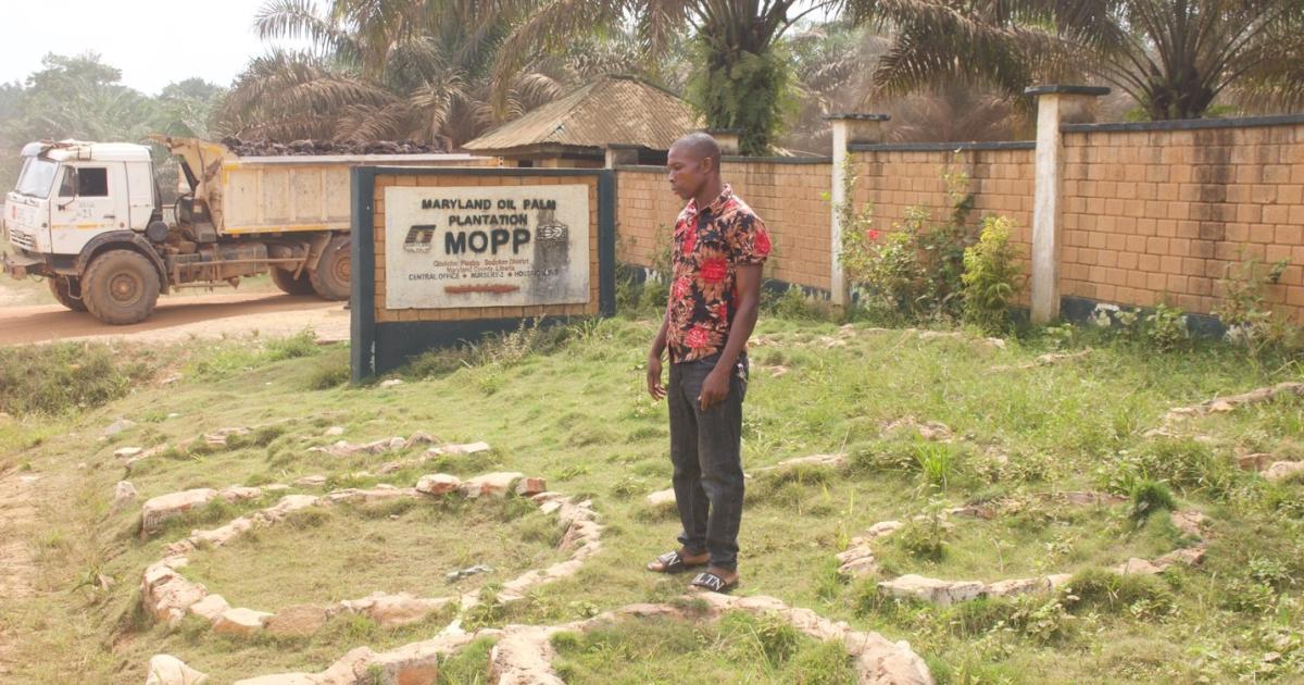 Liberia: The Farmer Defending His Land Against A Palm Plantation Liberia: The Farmer Defending His Land Against A Palm Plantation