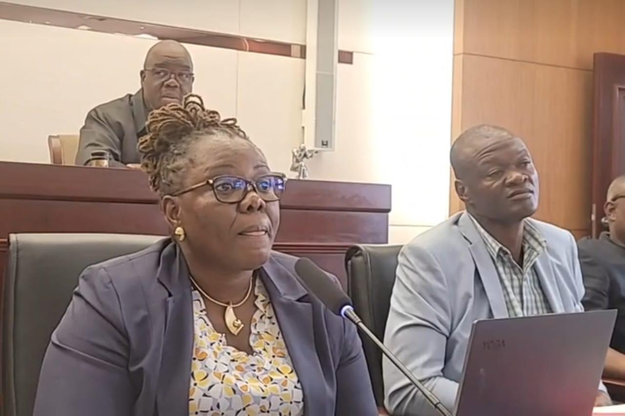 Public Works Minister Accused of Selectively Paying Contractors for Work Done on Road Public Works Minister Accused of Selectively Paying Contractors for Work Done on Road