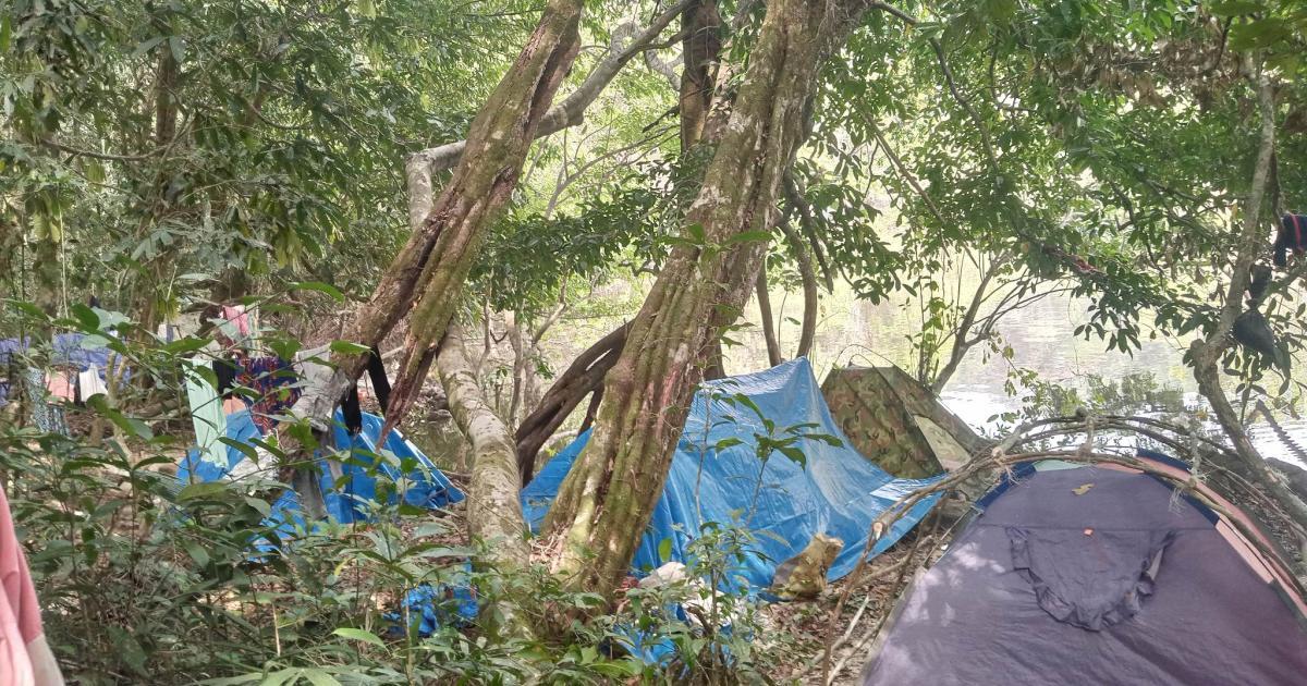 Liberia: Illegal Mining Threatens Forest, Biodiversity in Lofa County Liberia: Illegal Mining Threatens Forest, Biodiversity in Lofa County