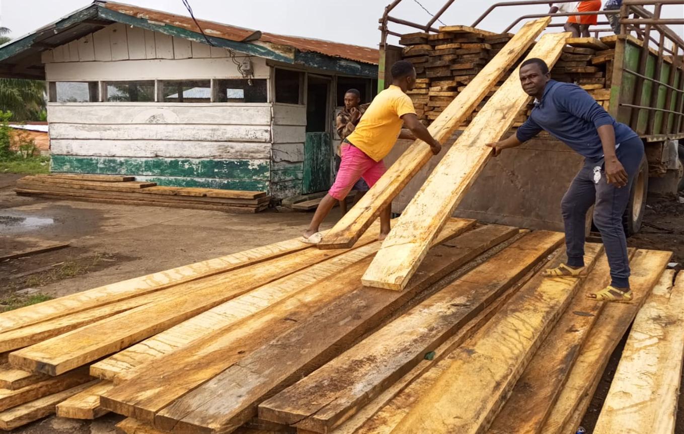 Liberia: The Turkish Illegal Loggers And Their Government Partner Liberia: The Turkish Illegal Loggers And Their Government Partner