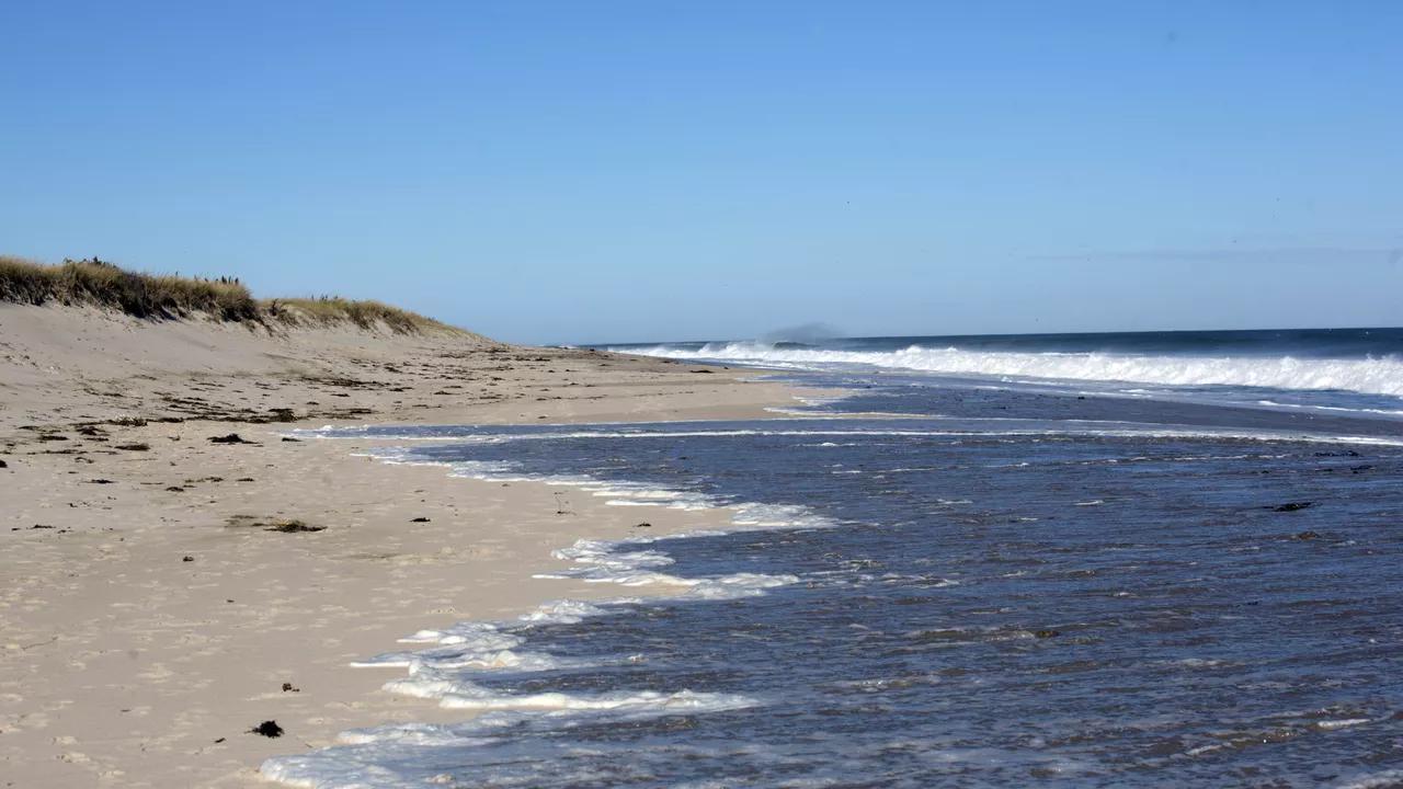 Coin Toss as to How 2,000-Year Old Roman Currency Ended Up on Deserted Swedish Island Coin Toss as to How 2,000-Year Old Roman Currency Ended Up on Deserted Swedish Island