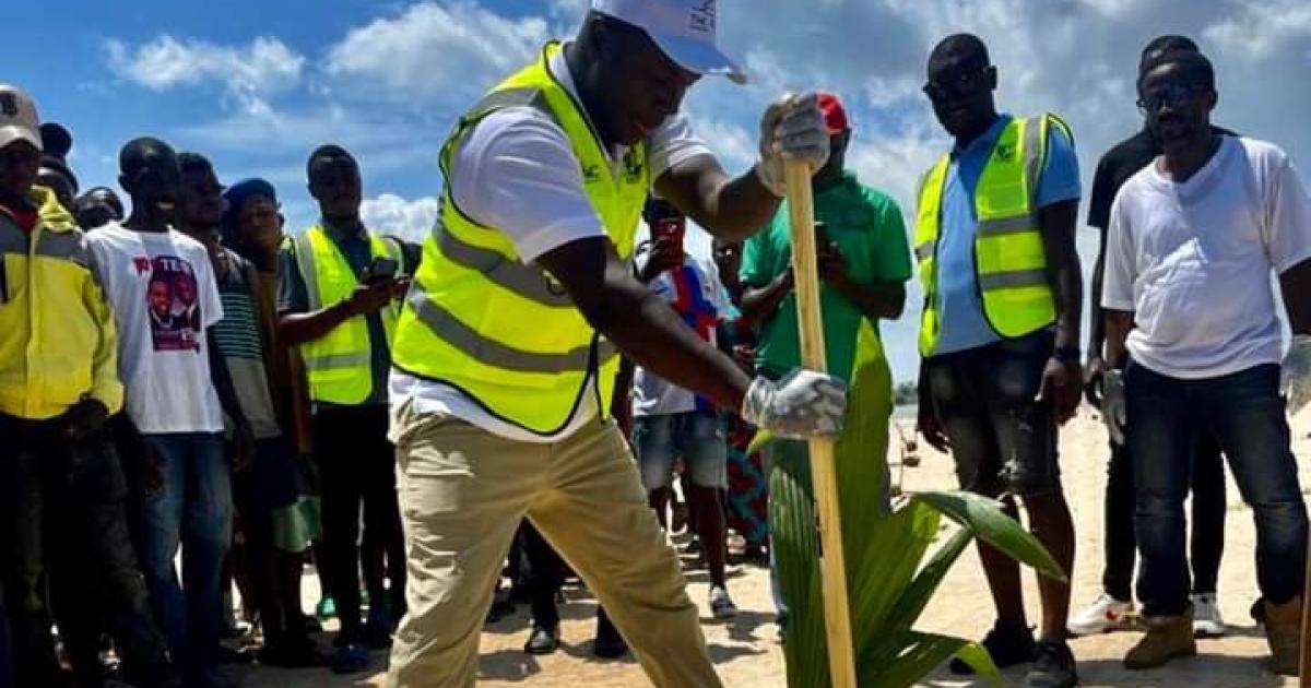 Liberia: MCC Launches ‘MonGrow Green Project’ Liberia: MCC Launches ‘MonGrow Green Project’
