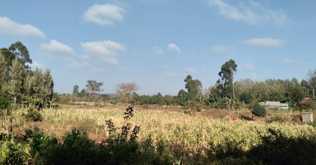 Liberia Climate Change induced Food Insecurity Worsening Liberia