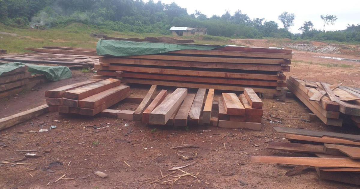 Liberia: Police Arrest Turkish Men Involved in Illegal Logging Liberia: Police Arrest Turkish Men Involved in Illegal Logging