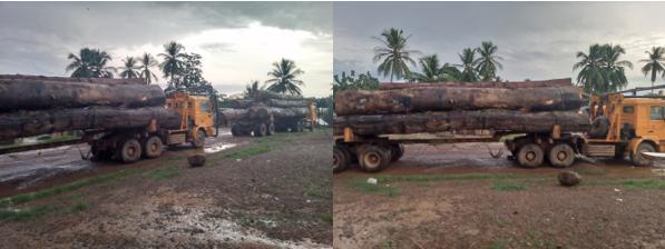Sinoe Forest Community Alleges Numerous Illegalities by Forestry Development Agency As Lawmaker Company Wins Concession Sinoe Forest Community Alleges Numerous Illegalities by Forestry Development Agency As Lawmaker Company Wins Concession