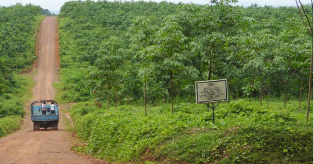 Liberia: Salala Rubber Corporation’s Woe Deepens; Parent’s Company Blacklisted for ‘Land Grab’ In Liberia Liberia: Salala Rubber Corporation’s Woe Deepens; Parent’s Company Blacklisted for ‘Land Grab’ In Liberia