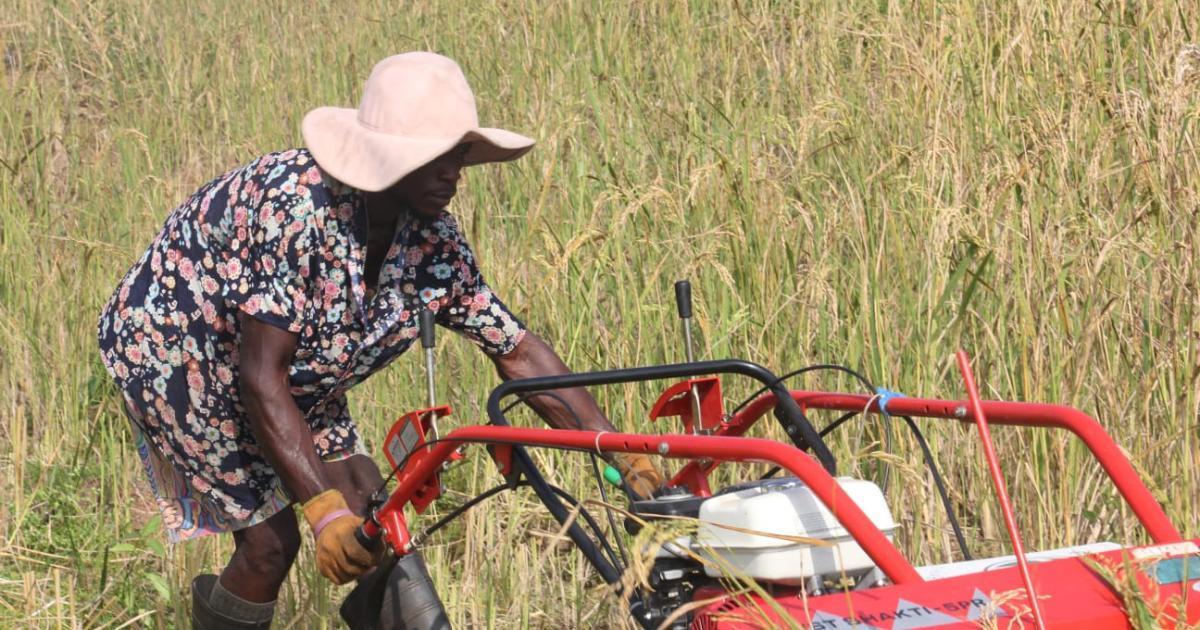 Liberia: Several Farmers, Agripreneurs Increasing Productivity Liberia: Several Farmers, Agripreneurs Increasing Productivity