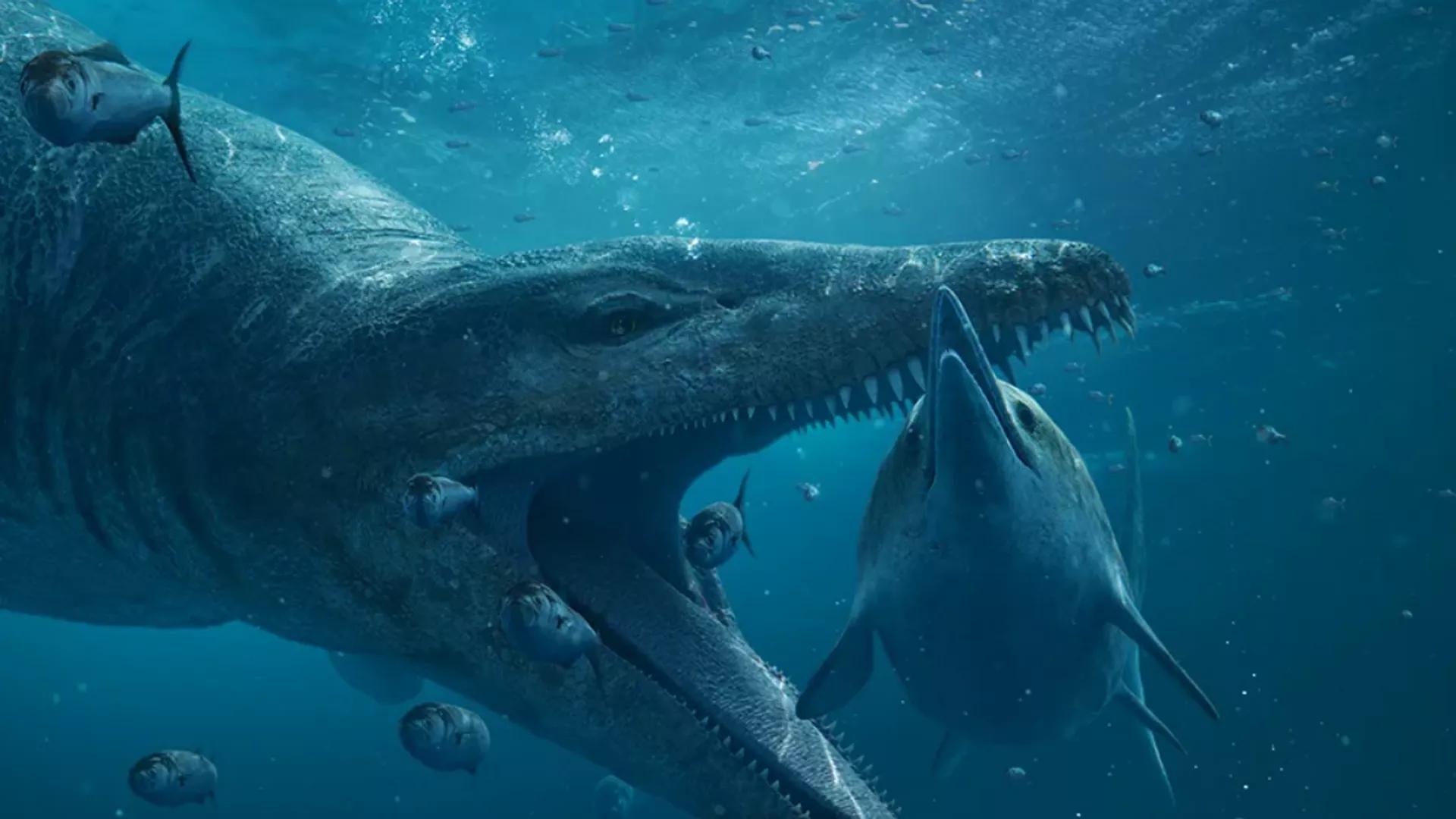 Oceanic T. Rex: Giant Pliosaur Skull Discovered off UK's Jurassic Coast