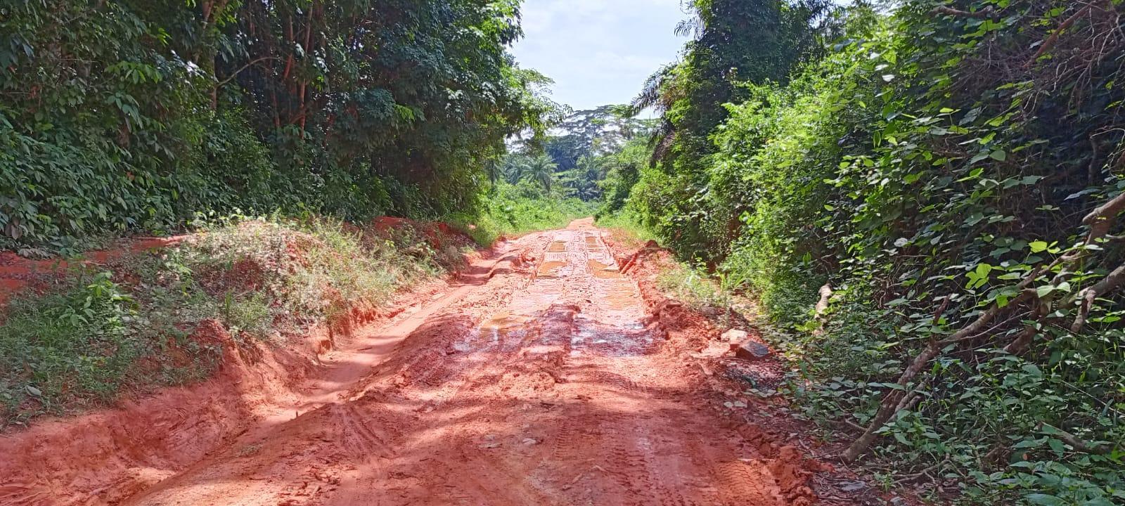Bong County: Citizens of Tongbnyah Clan complain of bad road condition Bong County: Citizens of Tongbnyah Clan complain of bad road condition