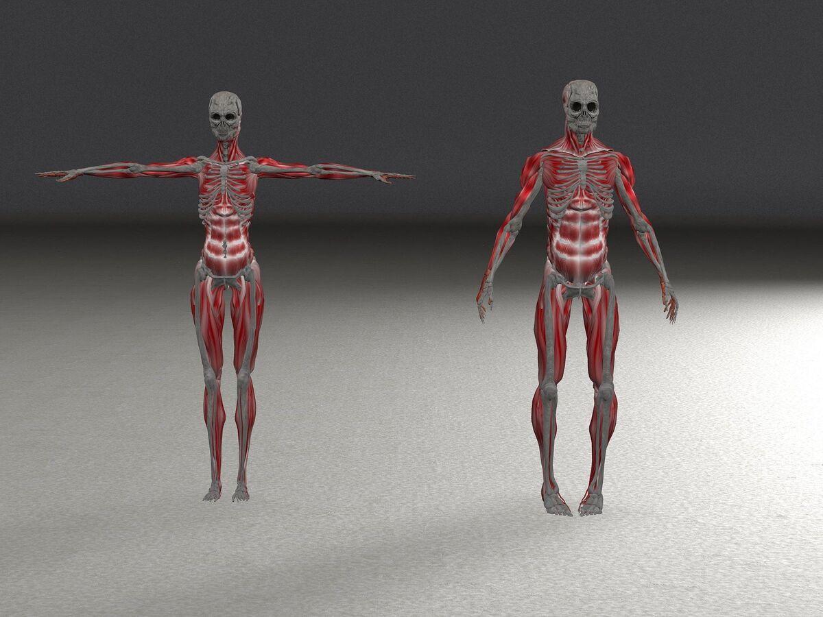 MIT Expert Explains What Biological Machines Are and What Functions They Perform MIT Expert Explains What Biological Machines Are and What Functions They Perform