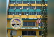 Balancing Borrowing Revenue Growth and Fiscal Stability Balancing Borrowing Revenue Growth and Fiscal Stability