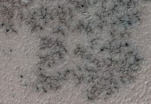 Astronomers Find ‘Spiders’ on Mars, but Not Ziggy Stardust Astronomers Find ‘Spiders’ on Mars, but Not Ziggy Stardust