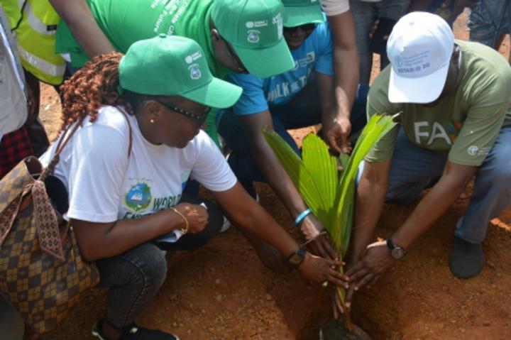 Liberia celebrates UN@80 Liberia celebrates UN@80