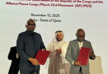 Doha Process Requires Meaningful Actions in DR Congo Doha Process Requires Meaningful Actions in DR Congo