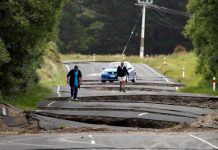 New Zealand Islands Shift After Earthquake New Zealand Islands Shift After Earthquake
