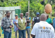 Retrapping Poultry Farming for Steady Income in Zwedru Retrapping Poultry Farming for Steady Income in Zwedru