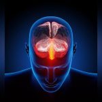 1950s Anxiety Pill Could Aid Brain Cancer Treatment 1950s Anxiety Pill Could Aid Brain Cancer Treatment