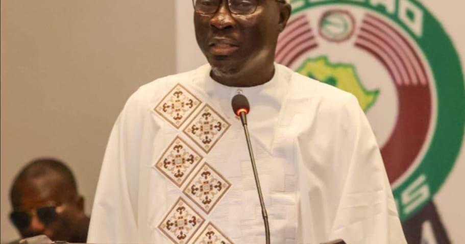 Outgoing GIABA DG Receives Presidential Praise Outgoing GIABA DG Receives Presidential Praise