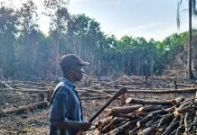 Liberia Seeks Climate Fund Amid Major Challenges Liberia Seeks Climate Fund Amid Major Challenges