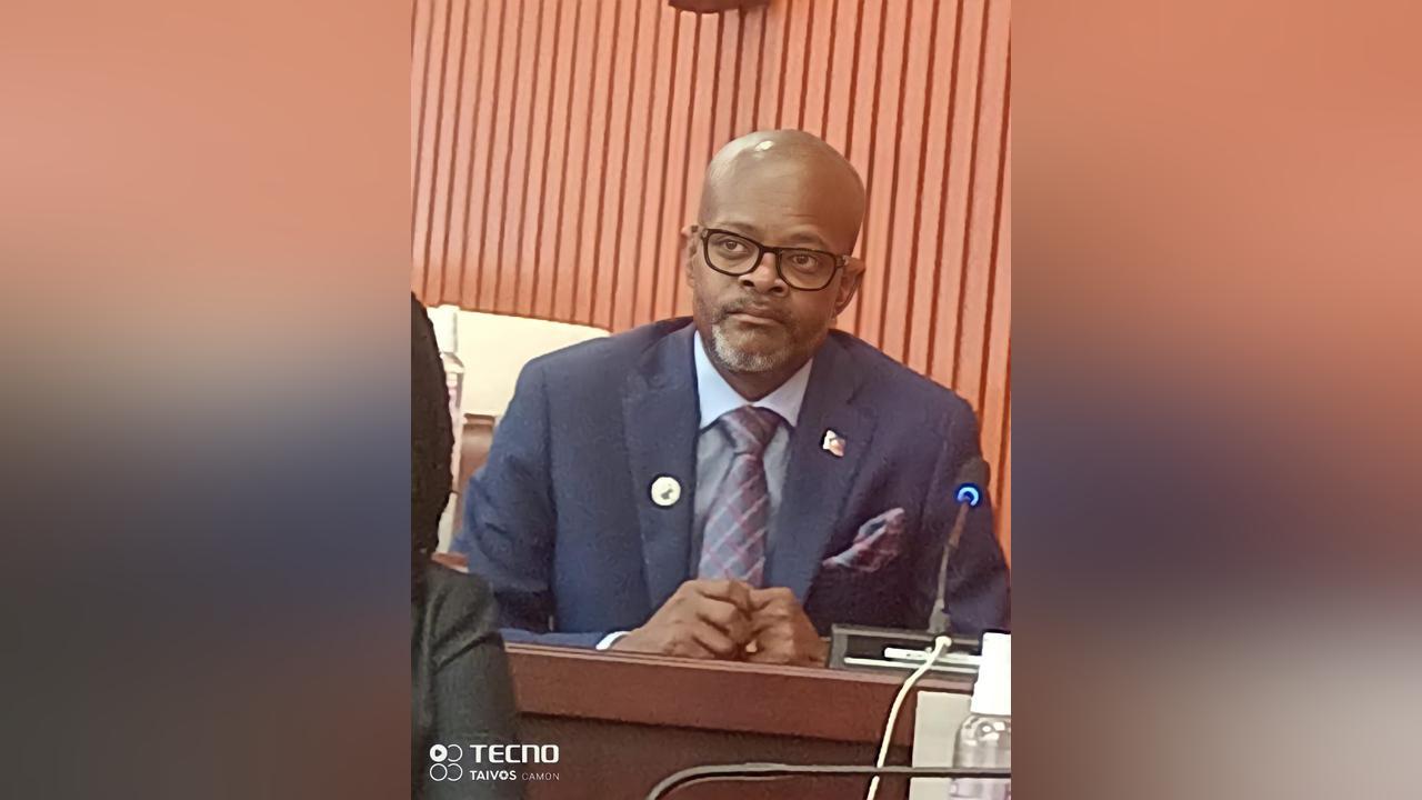 Dillon responds to criticism over work permit advocacy Dillon responds to criticism over work permit advocacy