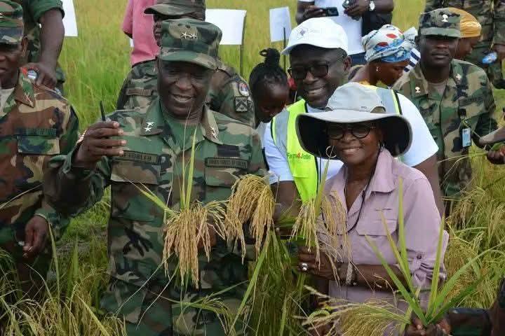 AFL harvests first post-war Swamp Rice in Lower Margibi AFL harvests first post-war Swamp Rice in Lower Margibi