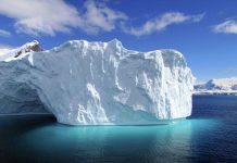Iceberg Drifts From Antarctic Grip After 30 Years Iceberg Drifts From Antarctic Grip After 30 Years