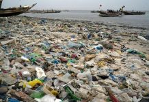 Oceans Face Triple Threat of Oxygen Loss Heat Acidification Oceans Face Triple Threat of Oxygen Loss Heat Acidification