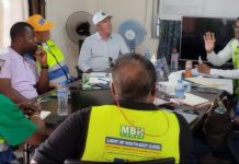 European Union Electrification Progress in Buchanan European Union Electrification Progress in Buchanan