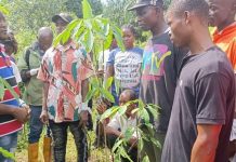 RPAL Launches Training for 450 Rubber Farmers RPAL Launches Training for 450 Rubber Farmers