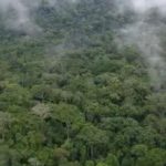 SCNL Pushes Back Against FDA Claims SCNL Pushes Back Against FDA Claims