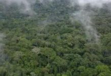 SCNL Pushes Back Against FDA Claims SCNL Pushes Back Against FDA Claims