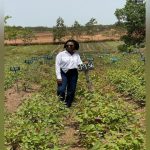 She Envisions a Cooler City by Planting Trees She Envisions a Cooler City by Planting Trees