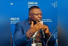 SCNL Berates FDA for Halting Foya Protected Area Process SCNL Berates FDA for Halting Foya Protected Area Process