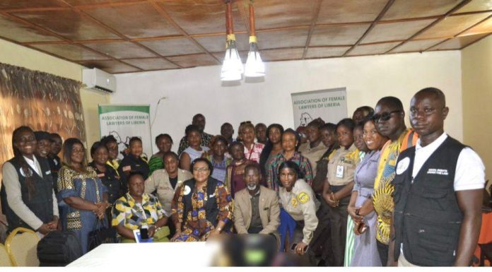 AFELL, Partners Conduct Training on Domestic Violence Act For Criminal Justice Actors AFELL, Partners Conduct Training on Domestic Violence Act For Criminal Justice Actors