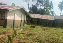 One Teacher Fights to Save Suasu Public School One Teacher Fights to Save Suasu Public School