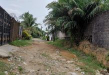 Late Dennis’ Estate Ruling Stalled Late Dennis’ Estate Ruling Stalled