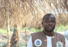 Lacra Board Suspends Gongolee Over Cocoa Smuggling Lacra Board Suspends Gongolee Over Cocoa Smuggling