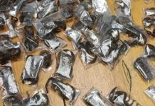 Africa Wildlife Trade: 150 Scorpions in Bag Africa Wildlife Trade: 150 Scorpions in Bag