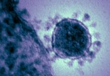 صحة المؤقتة تنفي رصد حالات إصابة بفيروس كورونا في ليبيا