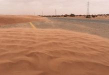 بالصور.. سيوف الرمال تزحف على الطريق بين “بدر والهبلية” بالصور.. سيوف الرمال تزحف على الطريق بين “بدر والهبلية”