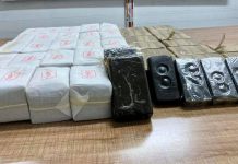 وزارة الداخلية: القبض على مواطن بحوزته 43 كلغ من مخدر الحشيش وزارة الداخلية: القبض على مواطن بحوزته 43 كلغ من مخدر الحشيش