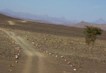 تشاد: المرتزقة المتسللون من ليبيا يهددون بتقويض محاربة الإرهاب تشاد: المرتزقة المتسللون من ليبيا يهددون بتقويض محاربة الإرهاب