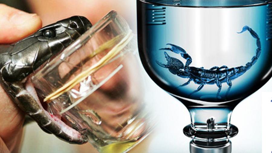 رقابة الأدوية: شحنة أمصال الأفاعي والعقارب قيد الفحص رقابة الأدوية: شحنة أمصال الأفاعي والعقارب قيد الفحص