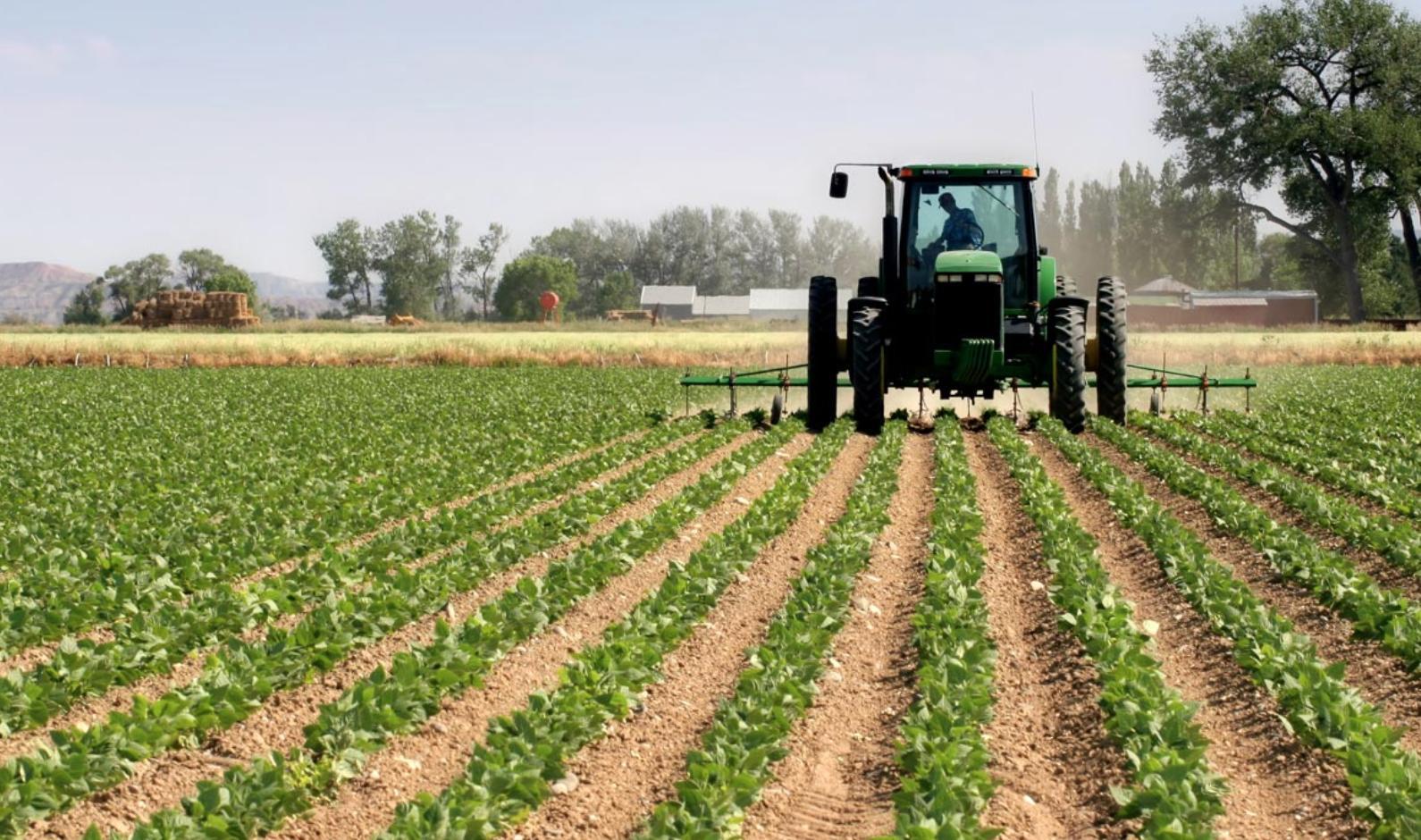 منظمة الزراعة الأممية تحثّ ليبيا على إعداد خطط مدروسة لعمل المنظمة منظمة الزراعة الأممية تحثّ ليبيا على إعداد خطط مدروسة لعمل المنظمة