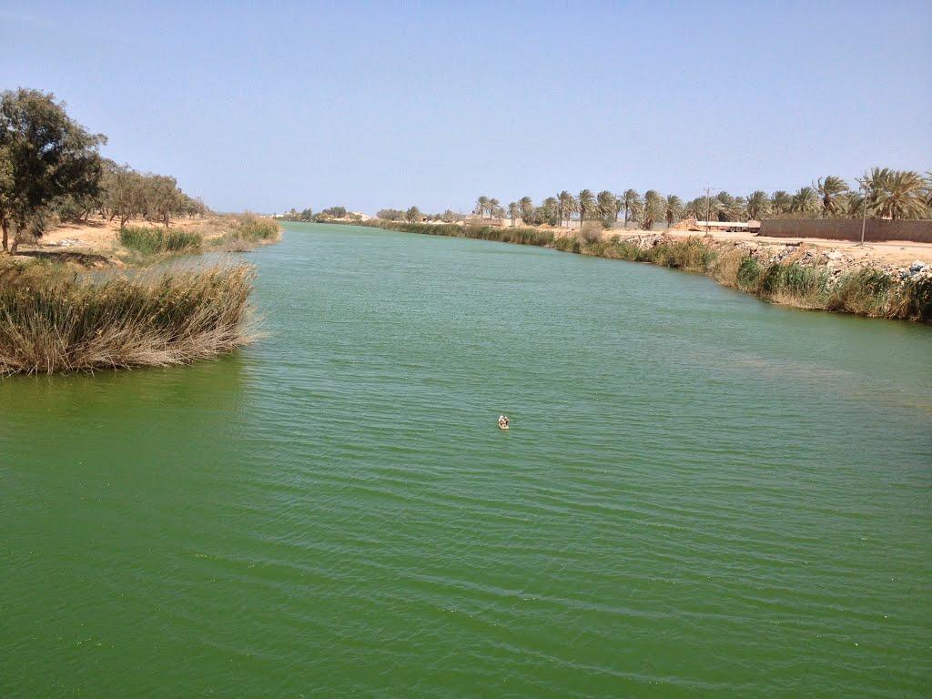 دراسة.. لأول مرة منذ 6 سنوات تجف بحيرة وادي كعام خلال أغسطس دراسة.. لأول مرة منذ 6 سنوات تجف بحيرة وادي كعام خلال أغسطس