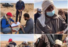 حملة تطعيم جماعية لقطعان الأغنام والماعز بالمناطق الحدودية مع تونس حملة تطعيم جماعية لقطعان الأغنام والماعز بالمناطق الحدودية مع تونس