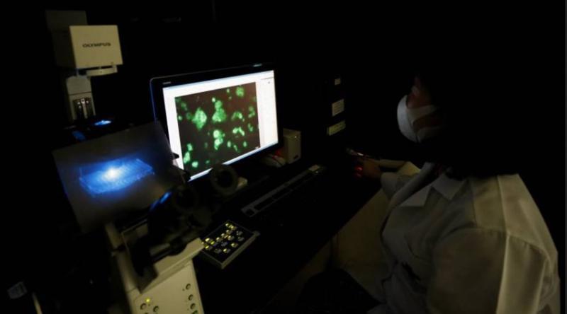 علماء يكتشفون جسما مضادا لجميع طفرات علماء يكتشفون جسما مضادا لجميع طفرات