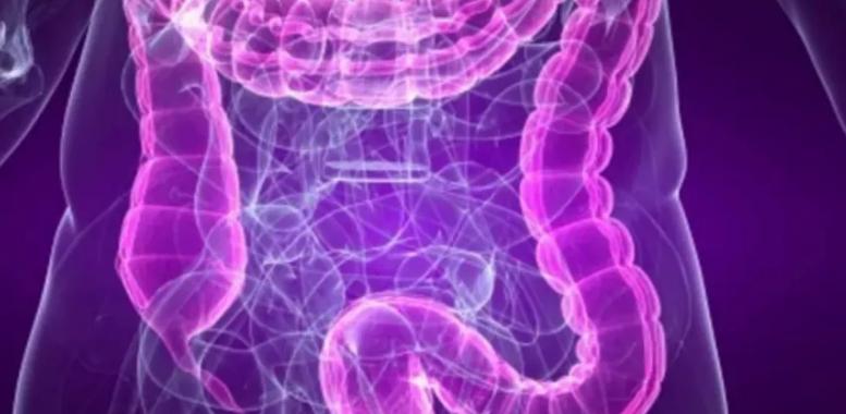 طريقة جديدة لعلاج التهاب الأمعاء طريقة جديدة لعلاج التهاب الأمعاء